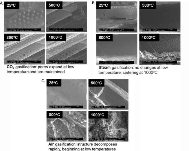 Figure 2. Char from gasi ﬁ cation in an ESEM. Samples were heated to 1000 °C at 20 K min −1 under (A) steam, (B) air, and (C) CO 2 