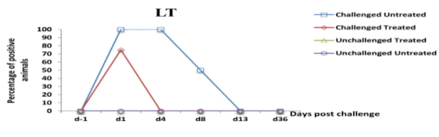 Fig.  3  Percentage  of  fecal  presence  of  the  gene  encoding  LT  enterotoxin  in  weaned  pigs  challenged or not with ETEC: F4