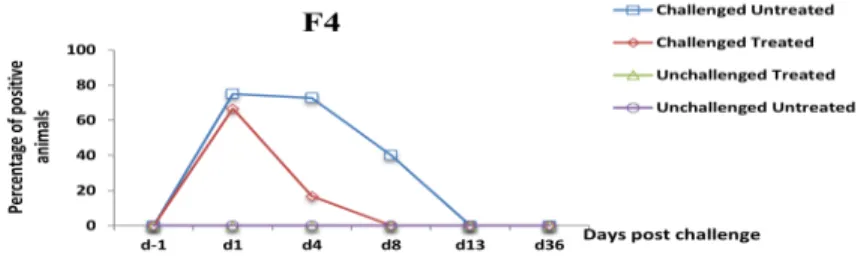 Fig. 4 Percentage of fecal presence of the gene encoding F4 in weaned pigs challenged or not  with ETEC: F4