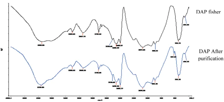 Figure 3. The analysis by means of IR of the industrial DAP downstream from the recrystallization and pure commercial DAP (Fisher).