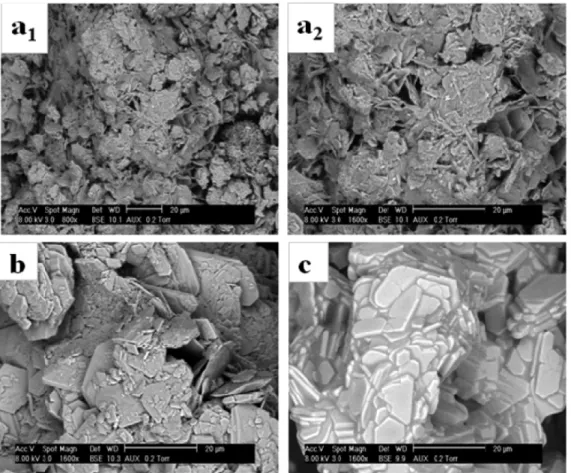Figure 6. Scanning electron microscopy (SEM) images of (a 1 and a 2 ) raw TSP, (b) synthetic TSP, and (c) recrystallized TSP.