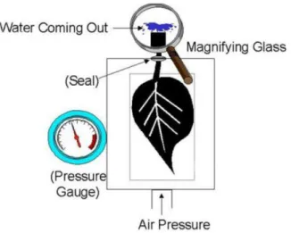 Figure 2 - Pressure Chamber 