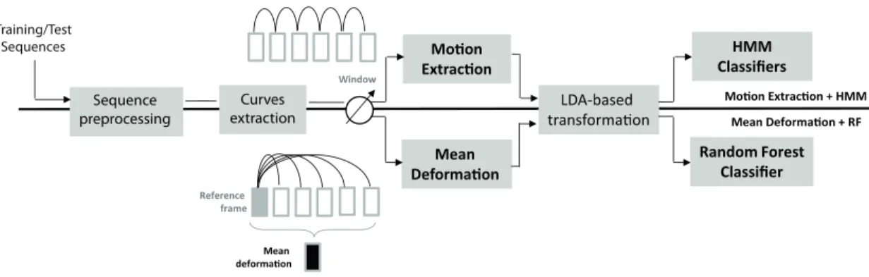 Fig. 1. Overview of the proposed approach. Four main steps are shown: Sequence preprocessing and extraction of the radial curves; Motion extraction and Mean deformation computation; Dimensionality reduction with LDA; HMM- and Random-Forest-based classifica