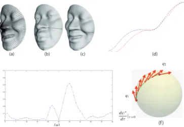 Fig. 2. The figure illustrates: (a) The extracted radial curves; (b)-(c) A radial curve on a neutral face, and the correspondent curve on the same face with happy expression, respectively; (d) The two radial curves are plotted together;