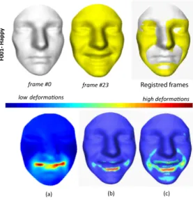 Fig. 5. Comparison of the different features extracted between two frames taken from subject 001 for the happy expression: (a) the Free Form-based Deformations (FFD); (b) the point-to-point Euclidean distances; and (c) the DSFs deformations.