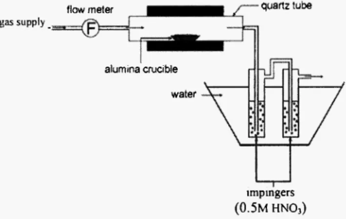 Fig. 2: Experimental set-up for pyrolysis study. 