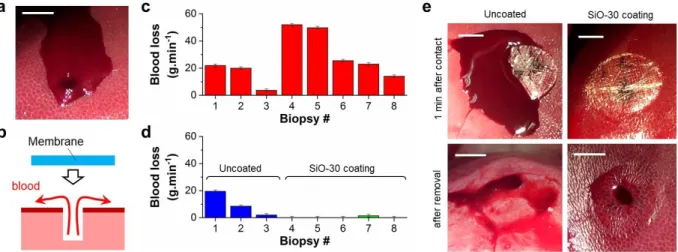 Figure 6: Hemostatic performance. (a) Schematic representation of the hemostasis protocol; (b) Picture  of a bleeding biopsy (40 g.min -1 ); (c) Bleeding rates before membrane deposition; (d) Bleeding rates during  the 2 minutes following deposition of unc
