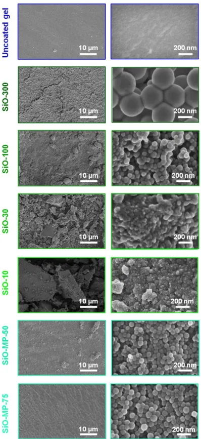 Figure S3: SEM observations of all the studied membranes 