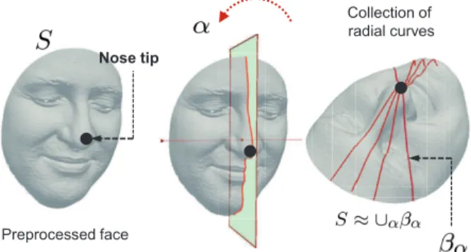 Fig. 3: Procedure for extraction of radial curves, a curve β r α is obtained by slicing the facial surface by P α defined by the angle α with the vertical plane and having as origin the nose tip.