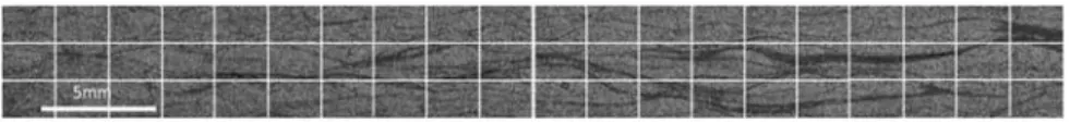 Figure 2. (a) Section of sample N  1 with 41.6 % fibers content. (b) Section of sample N  6 with 49.2% fibers content