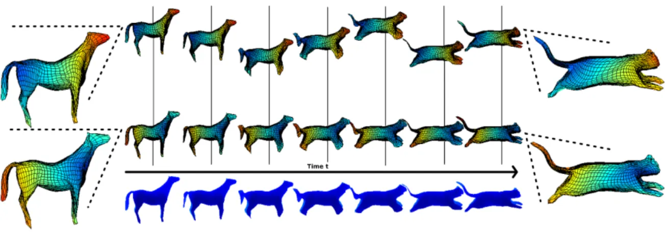 Fig. 1. Two paths in F with the same sequence of shapes but with different reparameterizations between the corresponding shapes.