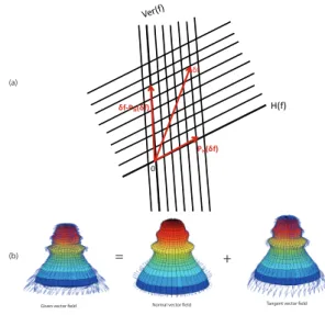 Fig. 2. a. Direct sum decomposition H(f) ⊕ V er(f) = T f F. b. Vector field decomposition into tangent and normal directions