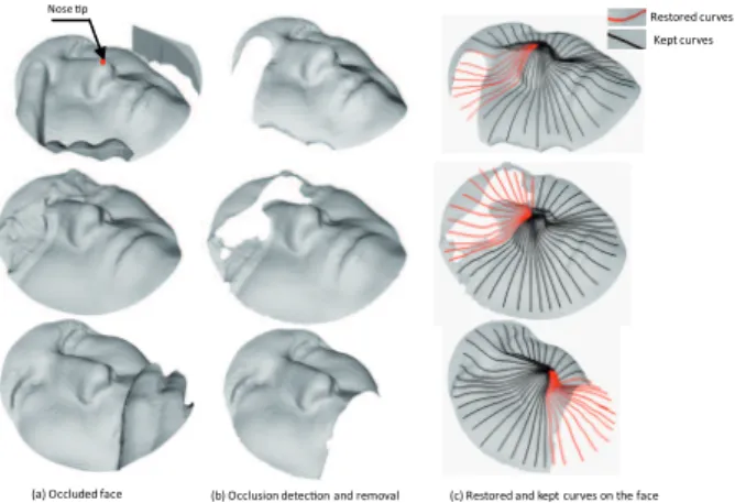 Fig. 12. (a) Faces with external occlusion, (b) faces after the detection and removal of occluding parts and (c) the estimation of the occluded parts using a statistical model on the shape spaces of curves.