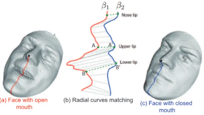 Fig. 5. An example of matching radial curves extracted from two faces belonging to the same person: a curve with an open mouth (on the left) and a curve with a closed mouth (on the right)