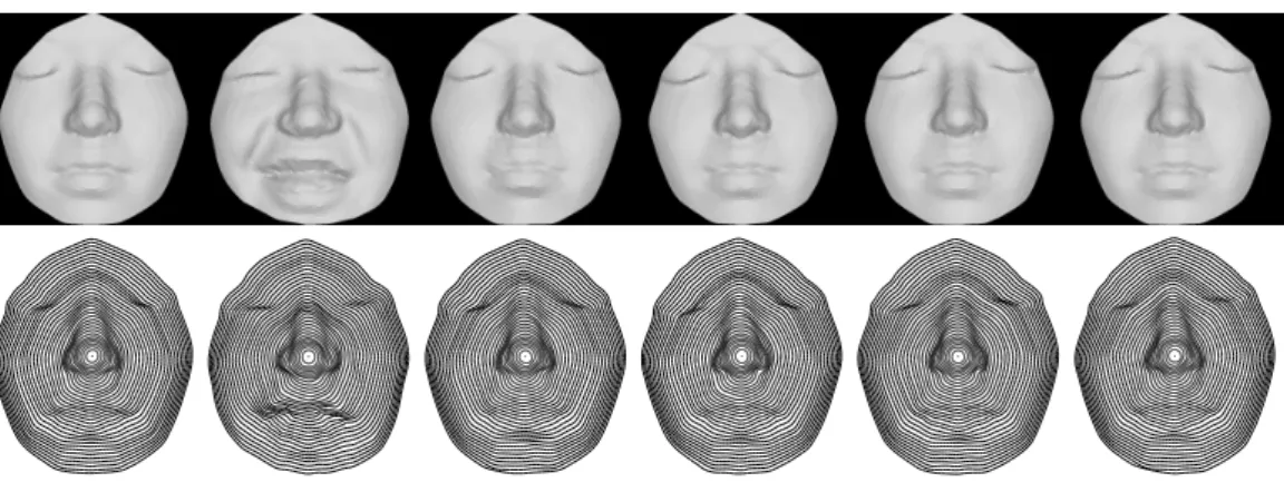 Fig. 5 Facial surfaces of the same person under different facial expressions, their correspondents representations in H.