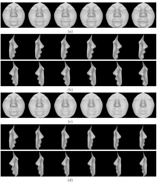 Fig. 9 Geodesic Paths between: (a) same person under different facial expressions, viewed from different viewpoints in (b)