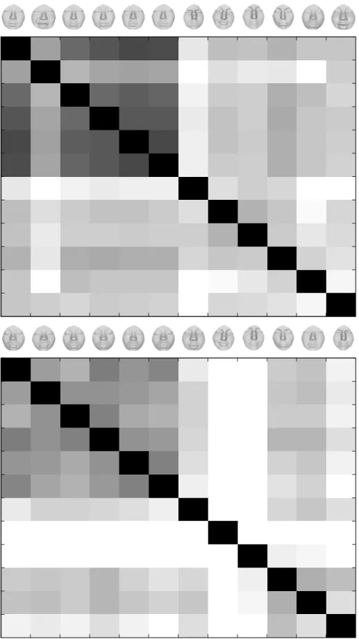 Fig. 12 Matrix of pairwise distances between 12 facial surfaces in H. The first six belong to the same person, while the next six belong to six different persons