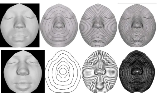 Fig. 4 Top: An example of facial surface (left), an extracted level set curve drawn on the surface.