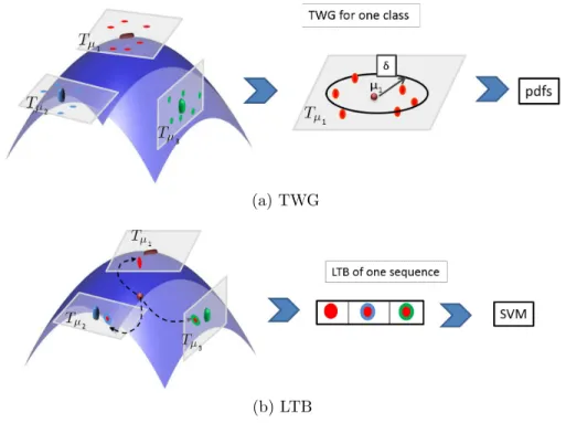 Figure 3: Conceptual TWG and LTB learning methods on the Grassmann manifold.
