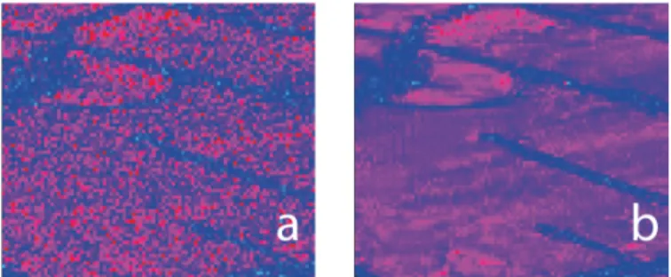 Fig. 5: Improved change detection with denoised arithmetic and geometrical means: (a) changes identified by the ratio arithmetic mean / geometric mean, (b) ratio of the denoised mean images