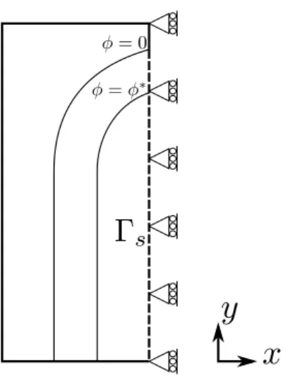 Figure 11: Location of the skeleton in the TLSV2, for a symmetric problem across a plane parallel to the y axis
