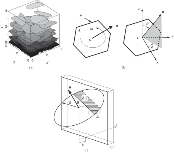 FIG. 1. Schematization of the EDZ and notations. (a) Example of an anisotropic heterogeneous network of circular fractures