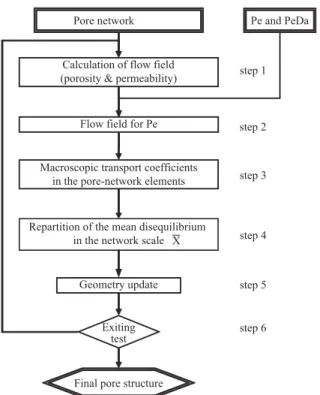 FIG. 4. General scheme of the reactive transport resolution by using the PNM.