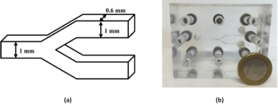 Fig. 3 – Single Y-junction replica. (a) Schematic view; (b) Photography next to a 1 D coin.