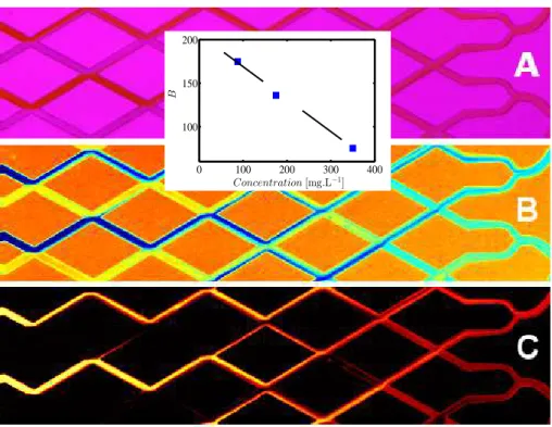 Figure 3: The three steps of the concentration measurement. (A): Raw image of the two fluid streams with and without fluorescein