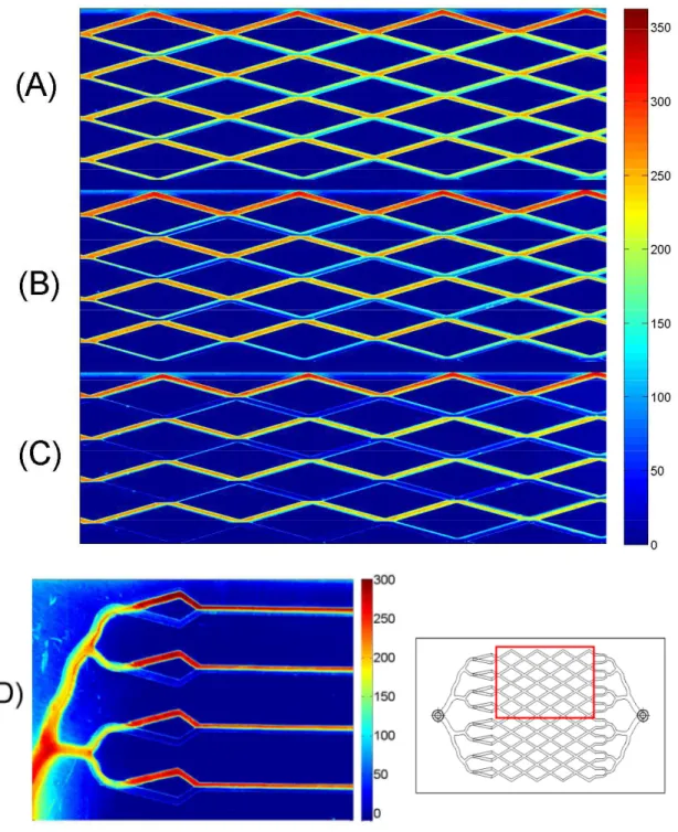 Figure 4: Concentration fields in [mg.L −1 ]. The flow goes from the left to the right