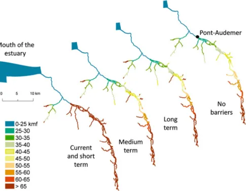 Fig. 7 Accessibility of the Risle River from the mouth of the estuary for sea trout under the different management scenarios measured by functional distances (classes of functional kmf)