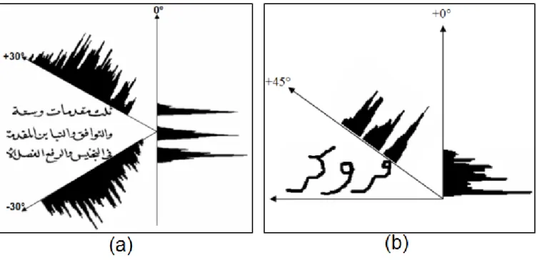 Figure 2: Depth and sharpness of the histogram profile computed for projection angles of −30 ◦ , 0 ◦ and 30 ◦ and for a document made of three handwritten Arabic lines(a); Orientation error provided by local PAWs in an Arabic horizontal line (b).
