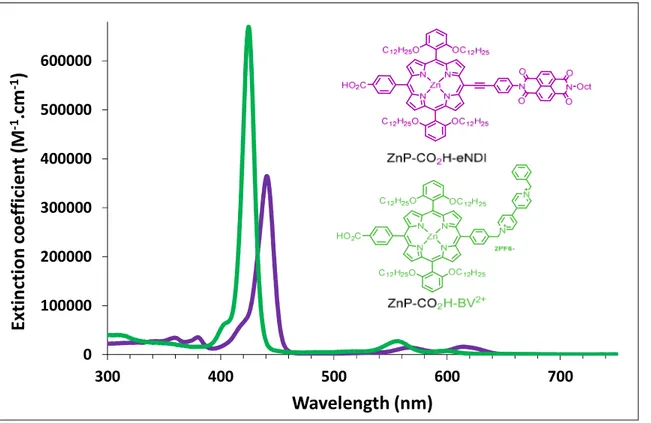 Figure 2. Overlay of the absorption spectra of the dyads ZnP-CO 2 H-BV 2+  and ZnP-CO 2 H-eNDI recorded  respectively in acetonitrile and dichloromethane solution
