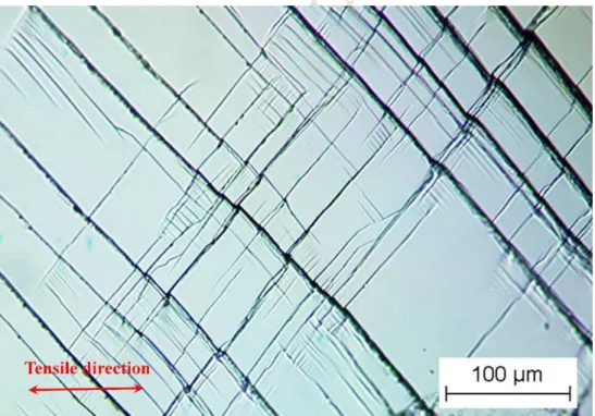 Fig. 4. Optical microstructure of the single crystal Ti-24Nb-4Zr-8Sn alloy after deformation up to 4.5 % strain