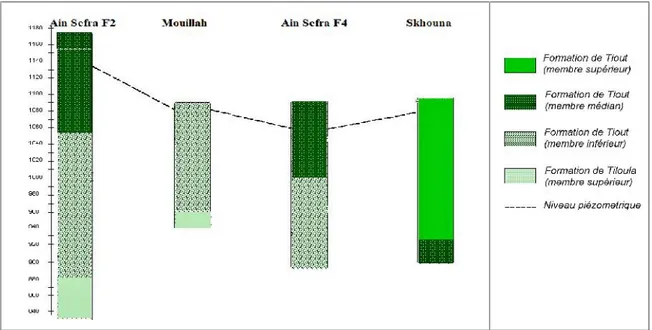 Fig. 6. Essai de corrélation des coupes de forages de la région d’Ain Sefra