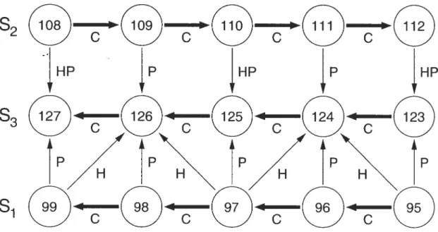 Figure 3.1 — Hypothetical /-sheet topological graph. Strands are $ [95, 99], $2