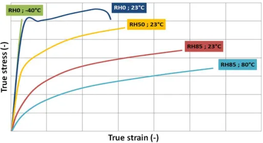 Figure 4. Behavior of a PA66 matrix. 