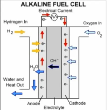 Figure I.2: Operating principle of alkaline type fuel cells[2] 