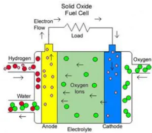 Figure I.3: Operating principle of solid oxide fuel cells[2] 