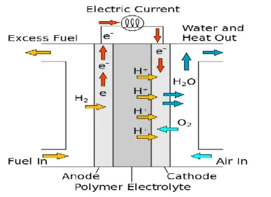 Figure I.5: Schematic of a PEM fuel cell showing the main  reactions (Mattuci 2001)[1] 