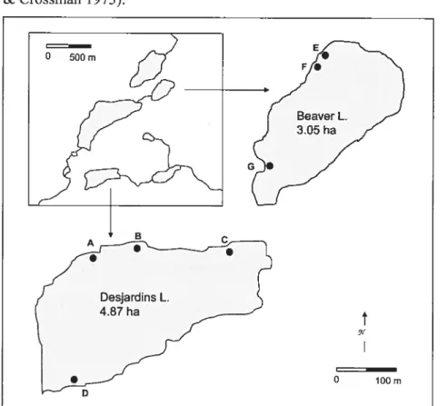 figure 1. Map of Lake Desjardins and Lake Beaver with sampling sites indicated (Desjardins: A, B, C, D; Beaver E, f, G).