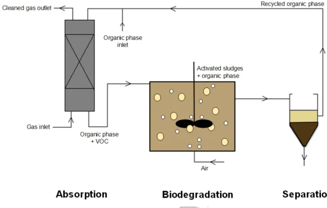 Fig. 1. Absorption–biodegradation process with organic phase regeneration for hydrophobic  VOCs treatment