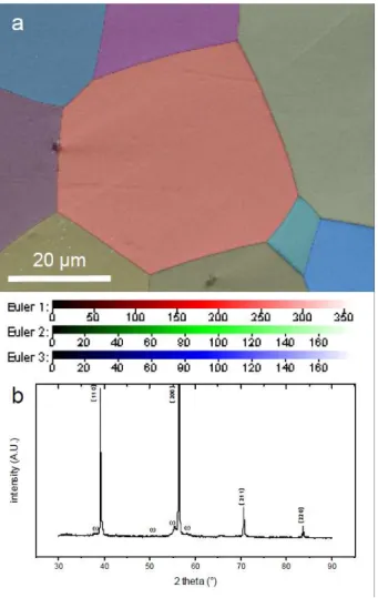 Fig. 3. EBSD mapping of the same area as in Fig. 1 after annealing: band contrast and Euler  angles from β indexation (a) and X-rays diffractogram (b)