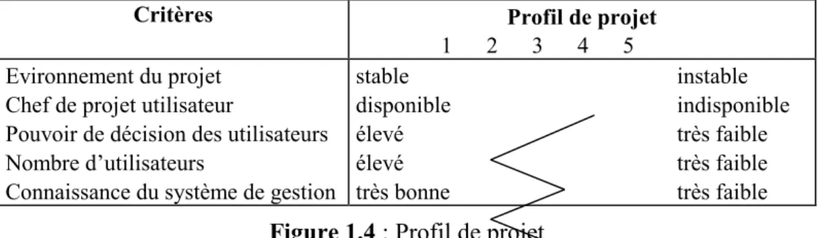 Figure 1.4 : Profil de projet 