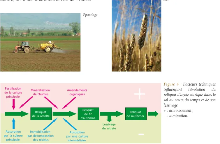 Figure  4  :  Facteurs  techniques  influençant  l’évolution  du  reliquat d’azote nitrique dans le  sol au cours du temps et de son  lessivage