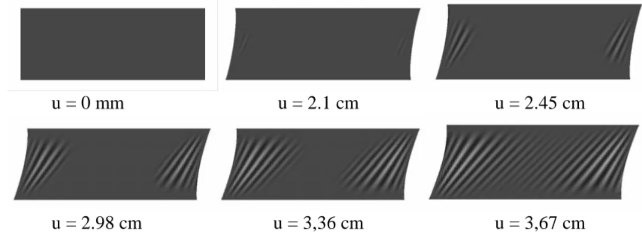 Figure 5.  Déformées successives de la membrane rectangulaire sous glissement  imposé 