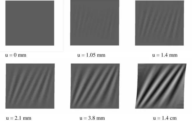 Figure 3. Déformées successives de la membrane carrée sous glissement imposé 