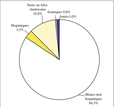 Figure 1 : La composition ethnique de la population des États-Unis en 1960 
