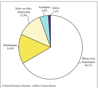 Figure 3 : La composition ethnique de la population des Etats-Unis en 2006