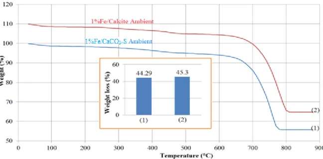 Figure 1. TG curves of CaCO 3 -S and pure calcite impregnated with Fe(NO 3 ) 3  and dried at room temperature  